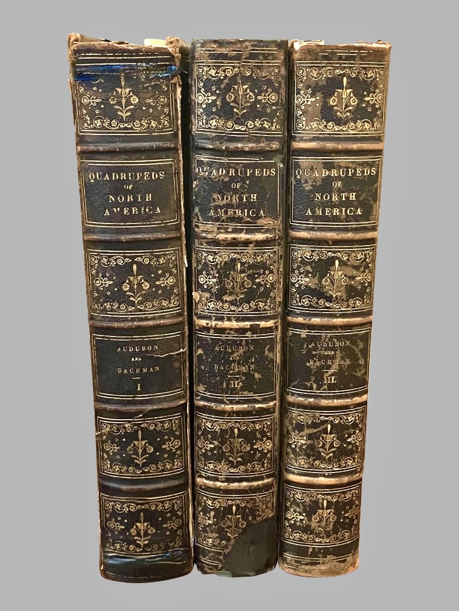 The Quadrupeds of North America in 3 Royal Octavo Embossed Leatherbound Volumes | DANIEL STEIN Antiques San Francisco CA